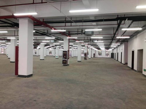 出租 100 5000平方廠房 倉庫 商務辦公場地